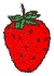 strawberry picture